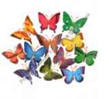 1Toy ����� ����� �������� ������� 12�� � ������