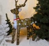 ������ �����. "����� ���������"