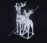 ������������ ������ "�����"