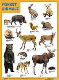   FOREST ANIMALS ( ),  4560
