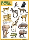   ANIMALS OF AFRICA ( ),  4560