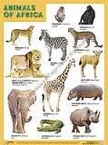   ANIMALS OF AFRICA ( ),  4560
