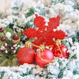 ������� ������� ������� �������� (����� 24 ��.)