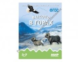 ������� ���� ������ � �����.