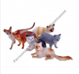 ����� ����� � ������ (6��.)